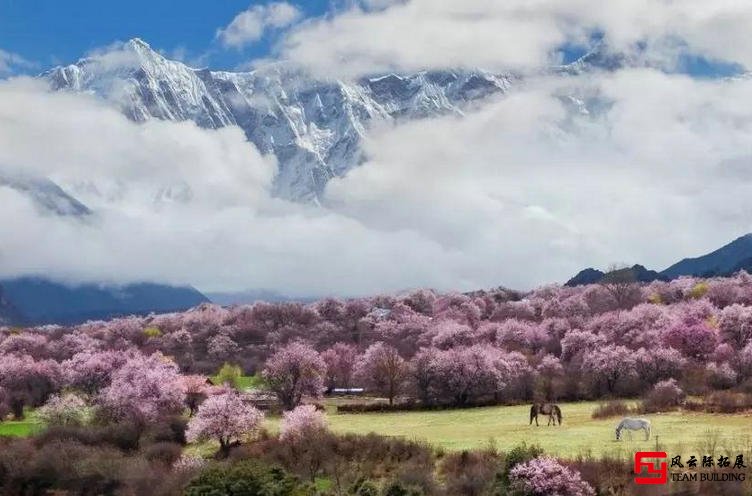 國內(nèi)旅行團建