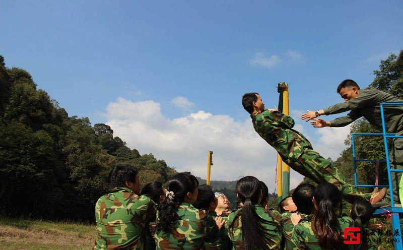 軍事拓展項目信任背摔