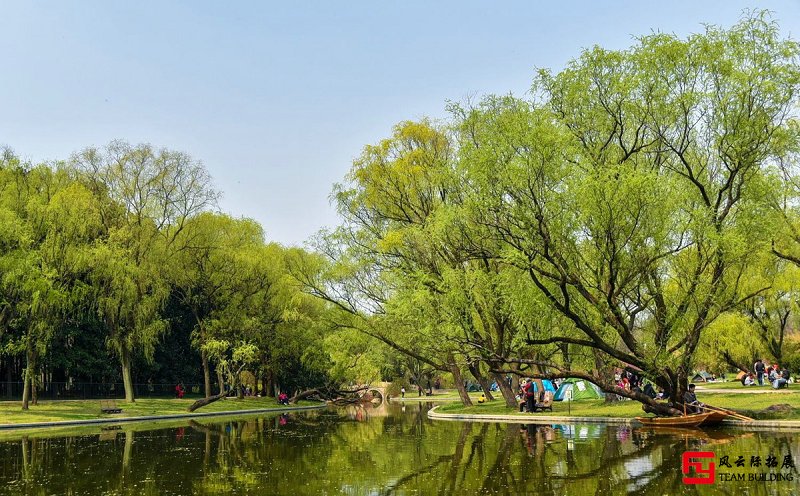 共青森林公園公司團(tuán)建活動