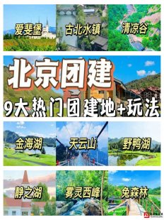 線上團建感想心得感悟500字